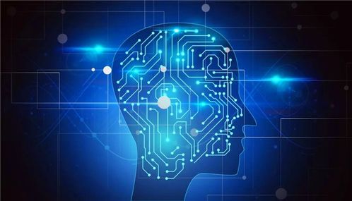 計(jì)算機(jī)軟件開(kāi)發(fā) 政策東風(fēng)下的熱門(mén)之選與未來(lái)展望